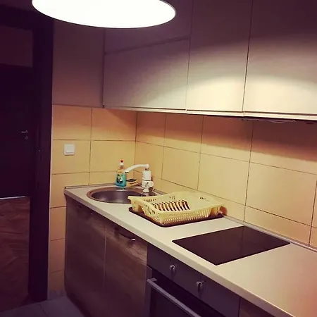 Grande House Daire Üsküp